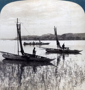 Fiskebåter som kommer hjem ved solnedgang, nær Yokohama, Japan, 1904. av Underwood and Underwood