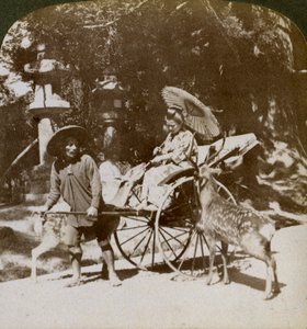 Jente mater hellig hjort på vei til bønner, eiendommen til Kasuga-tempelet, Nara, Japan, 1904 av Underwood and Underwood