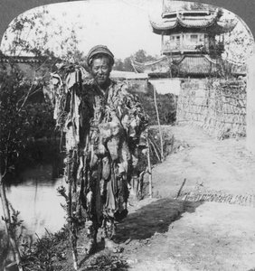 Tiggernes konge, Loong Wah, Kina, slutten av 1800- eller begynnelsen av 1900-tallet av Underwood and Underwood