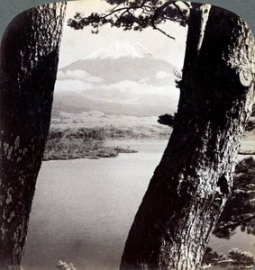 Fuji-fjellet, sett fra nordvest, gjennom furu ved Motosu-sjøen, Japan, 1904 av Underwood and Underwood