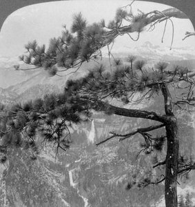 Nevada Falls, Vernal Falls og Liberty Cap, Yosemite Valley, California, USA, 1902 av Underwood and Underwood