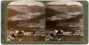 Sikem, sørvest fra Mount Ebal, Palestina, 1900-tallet. av Underwood and Underwood