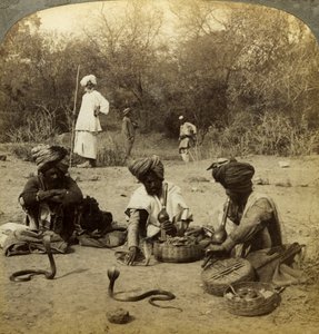 Slangejarmere, Delhi, India. av Underwood and Underwood