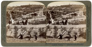 Getsemane-hagen og Oljeberget, Palestina, 1908. av Underwood and Underwood