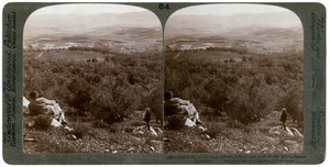 Dothan-sletten, Palestina, 1900. av Underwood and Underwood