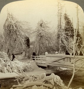 Vinterscene, Luna Island, Niagara Falls, New York, USA. av Underwood and Underwood