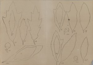  av Unidentified