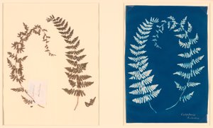 Fra Hatton Fern Album av Unknown