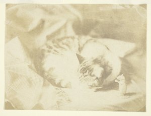 av Unknown