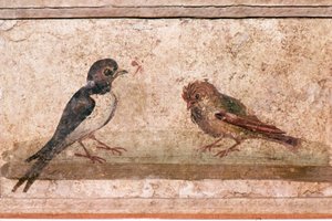 Swallow and Sparrow, romersk veggmaleri fra Boscoreale nær Pompeii, 1. århundre av Unknown