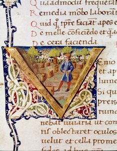En birøkter og bikubene hans (miniatyr av Unknown artist