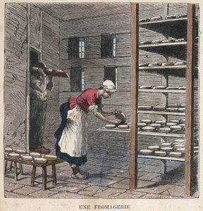 En ostefabrikk. 1800-talls illustrasjon. Bianchetti samling. av Unknown artist