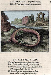 En drage som slår halen (eller Ouroburo (?)). Tallerken hentet fra turen til alkymi ""Flying Atalanta er den emblematiske romanen om naturens hemmelige kjemi" av Michel Maier (1568-1622) av Unknown artist