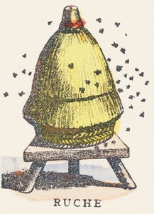 A: bikube av Unknown artist