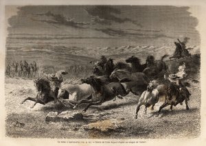 En rodeo i Lauramarca (Nedre Peru), fangst av ville hester, før deres jernmerking med initialene til eieren av regionen, ansett som et komplett skue, samlet mange badauds seg. Gravering for å illustrere seilasen i Quinquindalen av Unknown artist