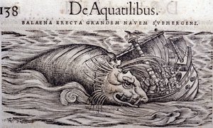 En hval ødelegger en båts skrog og forårsaker at den synker. Gravering n Historia Animalium av Conrad Gesner (1516 - 1565), Tiguri av Unknown artist