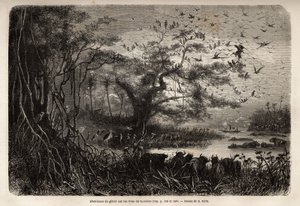 Overflod av vilt på bredden av Zambese. Gravering for å illustrere Dr. Livingstones første reiser til Sør-Afrika fra 1840 til 1856, i «Le tour du monde, nouveau journal des voyages»» publisert under ledelse av Edouard Charton av Unknown artist