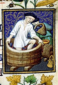 Allegorisk fremstilling av september. Innhøsting, druestripping. Miniatyr av et manuskript fra 1300-tallet. av Unknown artist