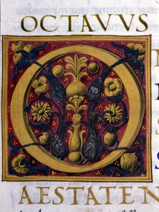 Alfabet: miniatyr bokstav O av Unknown artist