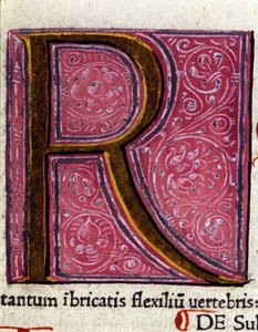 Alfabet: miniatyr bokstav R av Unknown artist