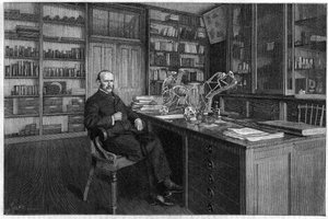 Alphonse Milne Edwards (Milne-Edwards av Unknown artist