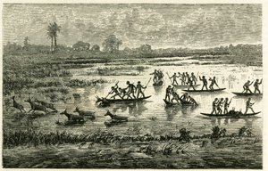 Antilopejakt, årlig jakt under trekk, antiloper som bremses ned i elvevannet blir slaktet av Marutse-krigere, som forfølger dem i balanse på kano. Gravering for å illustrere historien «Au pays des Marutses», i 1875-1879, av Dr. Emile Hol av Unknown artist
