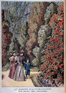I akklimatiseringshagen: kameliadrivhuset - i "" Le Petite Journal"" av Unknown artist