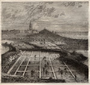 Batz sur Mer, Bretagne, Frankrike - Saltproduksjon. Utsikt over en saltmyr i det vestlige Frankrike - gravering i 
