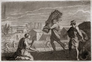 Bible of Royaumont, Old Testament: Ruth follows his mother-in-law Noemi (Naomi, Noemie) in the land of Judah and reaps the wheat fields of Boaz (Boaz). Illustration from 1811. av Unknown artist