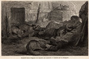 Blårever som gnager skoene til sjømenn som sover i tilfluktsstedet til observasjonsstasjonen, tegnet av V.Foulquier, for å illustrere Spitzberg av Unknown artist