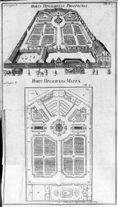 Botanisk hage - HORTI UPSALIENSIS prospektiv og plan. av Unknown artist