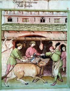 Slakting: slakting av en okse. Belysning fra melking av medisin og diett "" Tacuinum sanitatis"" av Unknown artist