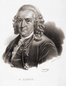 Carl Von Linné Swedish naturalist and writer (1707 - 1778). av Unknown artist