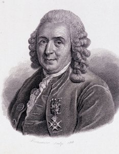 Carl Von Linné svensk naturforsker og forfatter (1707 - 1778) - i "Portrett av nyttige menn"" av Unknown artist