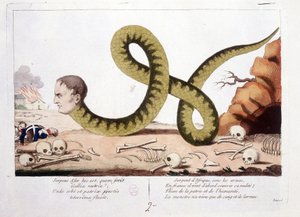 Tegneserie om Napoleon representerte jeg som en slange. Snake of Africa under arms, i Frankrike kom han først for å dekke nakenheten sin; En svøpe for hjemlandet og menneskeheten, monsteret levde bare med blod og tårer. - i Napoleon I, karikaturer, dummysa av Unknown artist