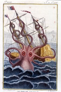 Kolossal blekksprut (blekksprut, gigantisk blekksprut, kraken) angriper et skip (skip, skip) - gravering av boken av Pierre Denys-Montfort (Denys de Montfort 1766-1820) "" Histoire naturelle des mollusques", originalutgave av 1802) - av Unknown artist