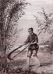 Skjæring av bambus, papirproduksjon i Kina (3. århundre f.Kr.) (gravering av Unknown Artist