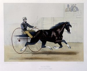 Dexter trotteur - i "" Kentauren"" av Unknown artist