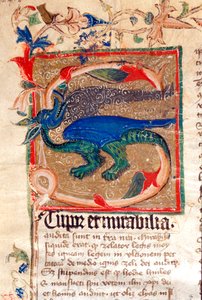 Dragon Decoree Lettrine Detalj av manuskript fra 1300-tallet av Unknown artist