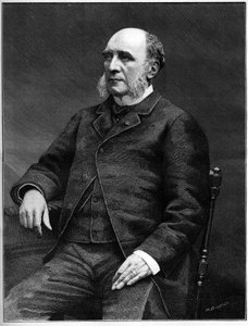 Duke Louis Charles Decazes (1819-1886), French politician, Minister of Foreign Affairs from 1873 to 1877. av Unknown artist