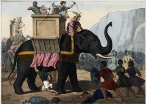 Eleazar Macchabee (Maccabee or Macabee) fights alongside the Jews against the oppression of Seleucides. Anonymous engraving from the middle of the 19th century. av Unknown artist