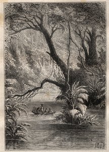 Ekspedisjon til Amerika (1799-1804) av Alexander von Humboldt (1769-1859) og Aime Bonpland (1773-1858): oppdagelsesreisende går ned til Orenoque, omgitt av de gigantiske trærne i Amazonasskogen (Cano Pimichin, Venezuela) - illustrasjon tatt fra «The Great av Unknown artist