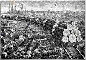 Utnyttelse av USAs skoger. Midlertidige jernbaner med trespor. Vogne som bærer trestammer. Gravering i "" La Nature"" av Unknown artist