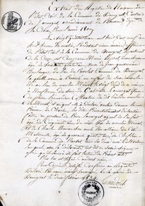 Extract from the register of birth of the State-Civil of the municipality of Dommyrot, certified copy of February 2 av Unknown artist