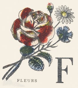 F: blomster av Unknown artist