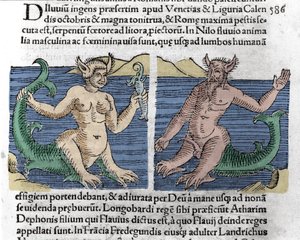 Fantastiske skapninger: En salamander og en sirene sett i Nilen. Gravering fra "Le livre des prodiges" (Chronicle of the prodigals and portents of Basileae) av Wolfhart (Conrad Lycosthene) 1557 av Unknown artist
