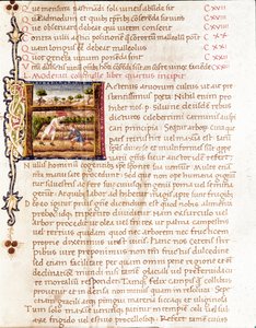 Bønder som planter vingårder (miniatyr av Unknown artist