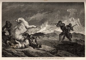 Slåss med en isbjørn som beskytter babyen hennes, flokken med hunder angriper henne og jegerne, riflevåpen, venter på riktig tidspunkt for å skyte henne. Gravering for å illustrere reisen til det frie havet på den arktiske polen, av doktor Hayes, kirurg i  av Unknown artist