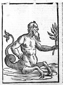 Glaucos med det magiske gresset som vil tillate ham å leve i havet - i Mythologiae sive explanationum fablerum de Natalis Comitis. Patavia av Unknown artist