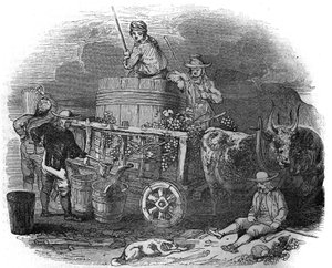Høstmaskin i Pola (Pula) (Istria) i Kroatia på 1800-tallet. av Unknown artist